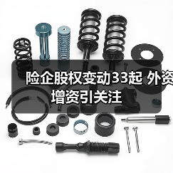 保险股权频繁变动背后，外资如何布局？-启闻网