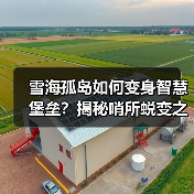 雪海孤岛如何变身智慧堡垒？揭秘哨所蜕变之路