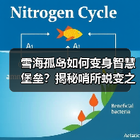 雪海孤岛如何变身智慧堡垒？揭秘哨所蜕变之路