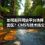 如何避开网站平台选择雷区？CMS与技术栈实用指南