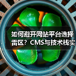 如何避开网站平台选择雷区？CMS与技术栈实用指南