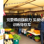 党委领战强能力 实战化训练铸铁军
