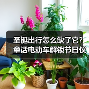 圣诞出行怎么缺了它？童话电动车解锁节日仪式感