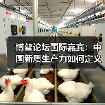 博鳌论坛国际嘉宾：中国新质生产力如何定义全球未来？