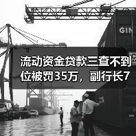 银行因贷款三查违规遭重罚，责任如何追责？-启闻网