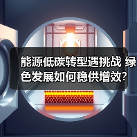 能源低碳转型遇挑战 绿色发展如何稳供增效？