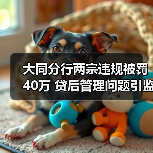 大同分行两宗违规被罚40万 贷后管理问题引监管重拳