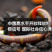 中国高水平开放释放积极信号 国际社会信心满满