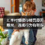 汇丰村镇银行被罚原因曝光，违规行为有哪些？