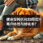 信息架构优化如何提升用户体验与转化率？