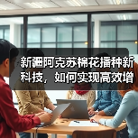 新疆阿克苏棉花播种新科技，如何实现高效增收？