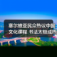 塞尔维亚民众热议中国文化课程 书法太极成热门选择
