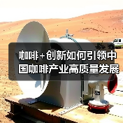 咖啡+创新如何引领中国咖啡产业高质量发展？