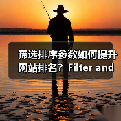 筛选排序参数如何提升网站排名？Filter and Sort SEO实战技巧揭秘