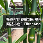 筛选排序参数如何提升网站排名？Filter and Sort SEO实战技巧揭秘