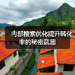内部搜索优化提升转化率的秘密武器