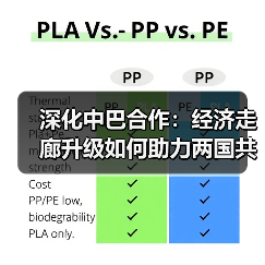 深化中巴合作：经济走廊升级如何助力两国共赢？