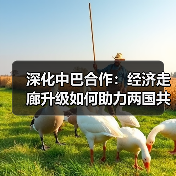 深化中巴合作：经济走廊升级如何助力两国共赢？