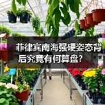 菲律宾南海强硬姿态背后究竟有何算盘？