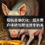 导航菜单优化：提升用户体验与爬虫效率的关键技巧