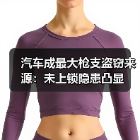 汽车成最大枪支盗窃来源:未上锁隐患凸显 汽车成最大枪支盗窃来源:未上锁隐患凸显