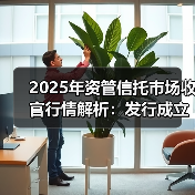 2025年资管信托市场收官行情解析：发行成立双增长