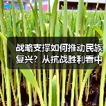 战略支撑如何推动民族复兴?从抗战胜利看中国崛起之路 战略支撑如何推动民族复兴?从抗战胜利看中国崛起之路