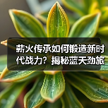 薪火传承如何锻造新时代战力？揭秘蓝天劲旅的强军密码