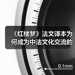 《红楼梦》法文译本为何成为中法文化交流的桥梁? 《红楼梦》法文译本为何成为中法文化交流的桥梁?