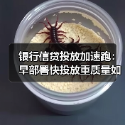 银行信贷投放加速跑:早部署快投放重质量如何应对息差压力? 银行信贷投放加速跑:早部署快投放重质量如何应对息差压力?