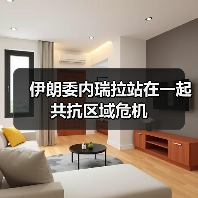 伊朗委内瑞拉站在一起共抗区域危机 伊朗委内瑞拉站在一起共抗区域危机