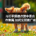 习近平复信点赞中塞合作新篇 如何实现钢厂蜕变？