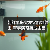 朝鲜半岛突发火箭炮射击 军事演习疑成主因