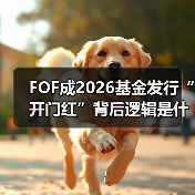 FOF成2026基金发行“开门红”背后逻辑是什么? FOF成2026基金发行“开门红”背后逻辑是什么?
