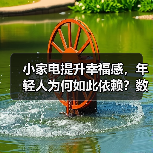 小家电提升幸福感,年轻人为何如此依赖?数据揭秘 小家电提升幸福感,年轻人为何如此依赖?数据揭秘
