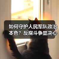 如何守护人民军队政治本色?反腐斗争显决心 如何守护人民军队政治本色?反腐斗争显决心