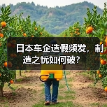 日本车企造假频发,制造之忧如何破? 日本车企造假频发,制造之忧如何破?