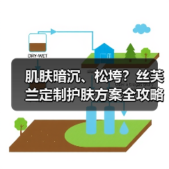 肌肤暗沉、松垮?丝芙兰定制护肤方案全攻略 肌肤暗沉、松垮?丝芙兰定制护肤方案全攻略