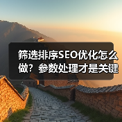 筛选排序SEO优化怎么做？参数处理才是关键！