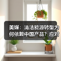 美媒:清洁能源转型为何依赖中国产品?应对全球挑战的关键角色 美媒:清洁能源转型为何依赖中国产品?应对全球挑战的关键角色