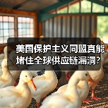 美国保护主义同盟真能堵住全球供应链漏洞? 美国保护主义同盟真能堵住全球供应链漏洞?