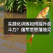 实战化训练如何提升战斗力？强军思想落地见效