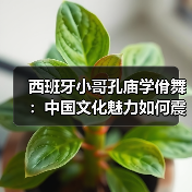 西班牙小哥孔庙学佾舞:中国文化魅力如何震撼世界? 西班牙小哥孔庙学佾舞:中国文化魅力如何震撼世界?