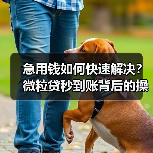 急用钱如何快速解决?微粒贷秒到账背后的操作技巧 急用钱如何快速解决?微粒贷秒到账背后的操作技巧