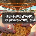 基层科研创新体系化升级 共筑战斗力提升新引擎 基层科研创新体系化升级 共筑战斗力提升新引擎