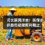河北居民注意!医保参保最后期限即将截止,务必抓紧办理 河北居民注意!医保参保最后期限即将截止,务必抓紧办理