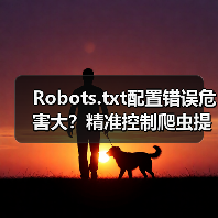 Robots.txt配置错误危害大?精准控制爬虫提升SEO效果 Robots.txt配置错误危害大?精准控制爬虫提升SEO效果