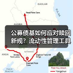 公募债基如何应对赎回新规?流动性管理工具或将重构市场格局 公募债基如何应对赎回新规?流动性管理工具或将重构市场格局