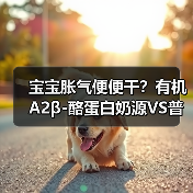 宝宝胀气便便干?有机A2β-酪蛋白奶源VS普通奶源怎么选 宝宝胀气便便干?有机A2β-酪蛋白奶源VS普通奶源怎么选