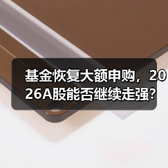 基金恢复大额申购,2026A股能否继续走强? 基金恢复大额申购,2026A股能否继续走强?